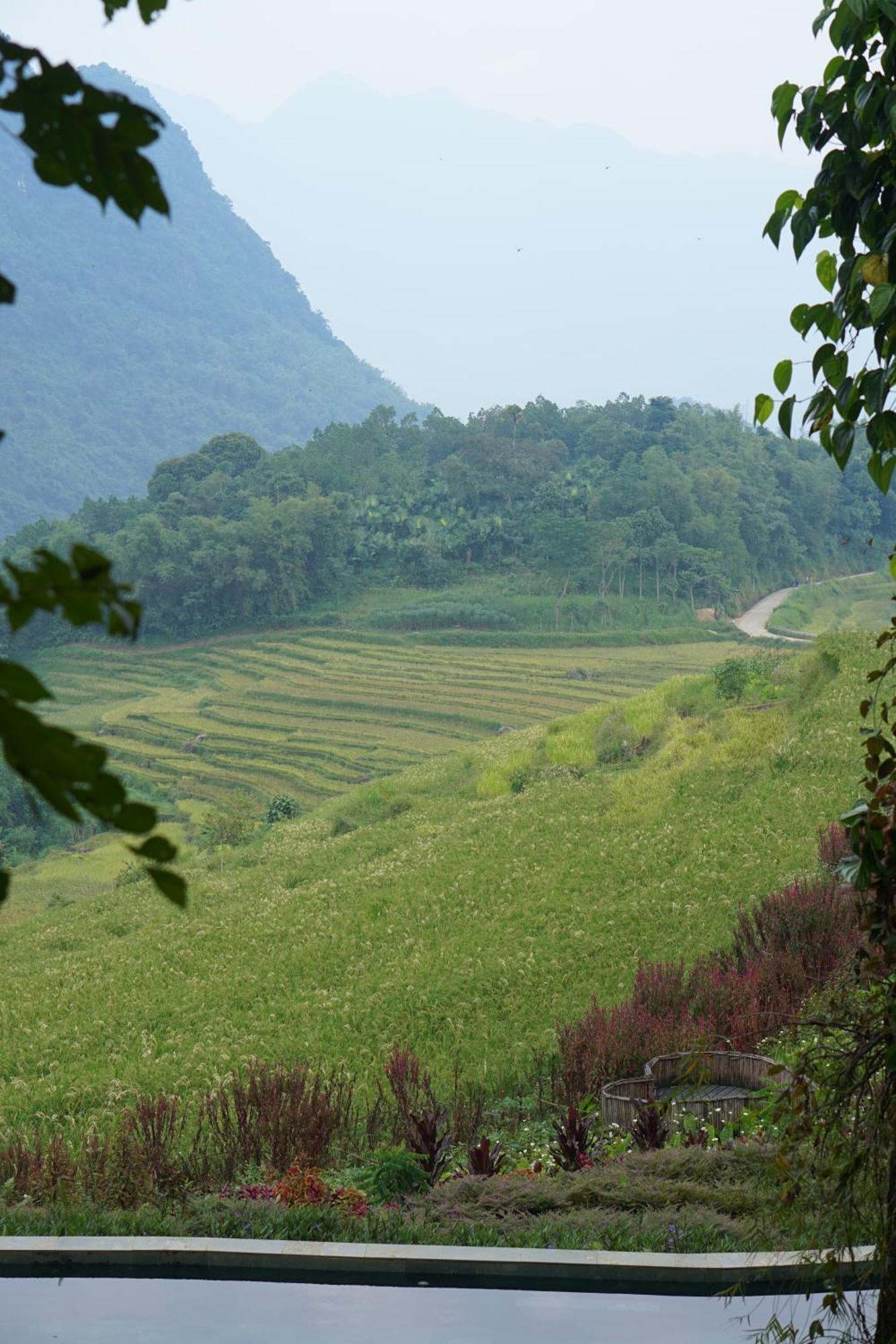Pu Luong Natura Kültér fotó